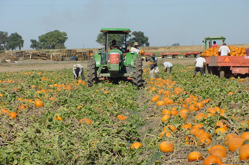 The Fieldworker Safety Inspection Report [2025]