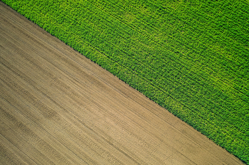 Pest Control Headquarters Inspections For Agricultural Operations [2025]